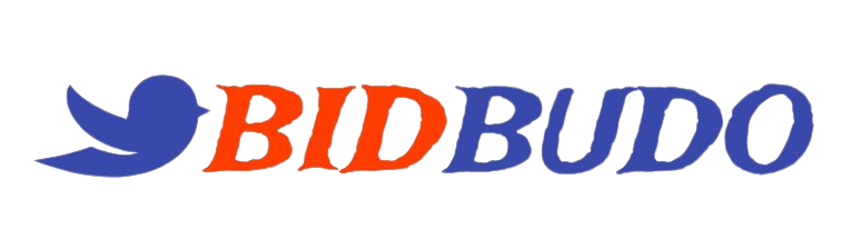 bidbudo.com
